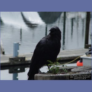 2006_1314_Hoonah_Alaska.JPG