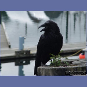 2006_1315_Hoonah_Alaska.JPG