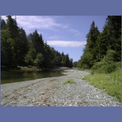 2002_170_Hot_Springs_Cove_Beach.html
