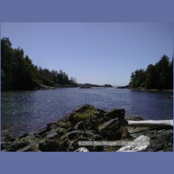 2002_173_Hot_Springs_Cove.html