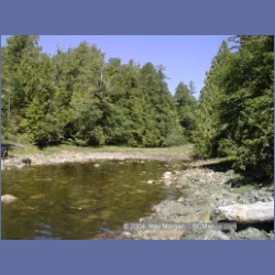 2002_174_Hot_Springs_Cove.html