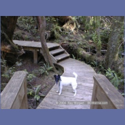 2002_176_Hot_Springs_Cove.html