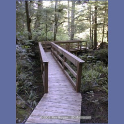 2002_177_Hot_Springs_Cove.html