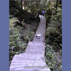 2002_178_Hot_Springs_Cove.html