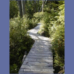 2002_179_Hot_Springs_Cove.html