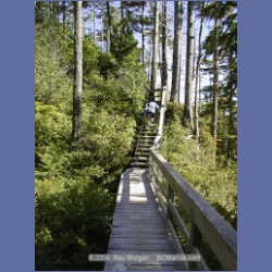 2002_180_Hot_Springs_Cove.html