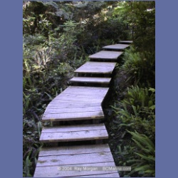 2002_181_Hot_Springs_Cove.html