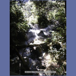 2002_182_Hot_Springs_Cove.html