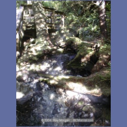 2002_183_Hot_Springs_Cove.html