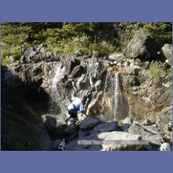 2002_184_Hot_Springs_Cove.html