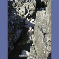 2002_185_Hot_Springs_Cove.html