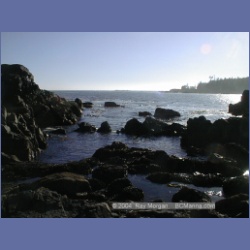 2002_189_Hot_Springs_Cove.html