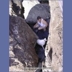 2002_190_Hot_Springs_Cove.html