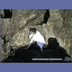 2002_192_Hot_Springs_Cove.html