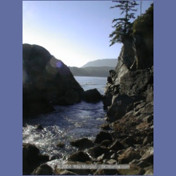 2002_193_Hot_Springs_Cove.html