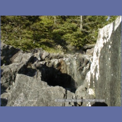 2002_194_Hot_Springs_Cove.html