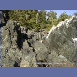 2002_195_Hot_Springs_Cove.html