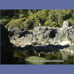 2002_196_Hot_Springs_Cove.html