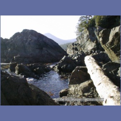 2002_197_Hot_Springs_Cove.html