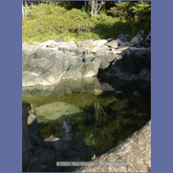 2002_199_Hot_Springs_Cove.html
