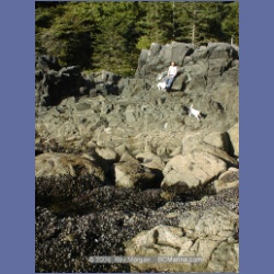 2002_201_Hot_Springs_Cove.html
