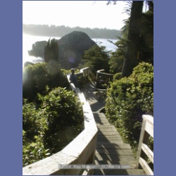 2002_205_Hot_Springs_Cove.html