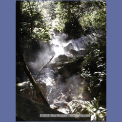 2002_207_Hot_Springs_Cove.html