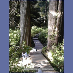 2002_209_Hot_Springs_Cove.html