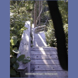 2002_210_Hot_Springs_Cove.html
