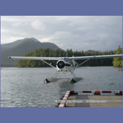 2003_2913_Hot_Springs_Cove.html
