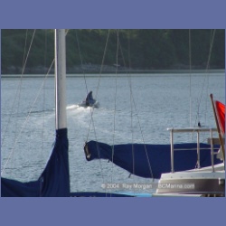 2003_2919_Hot_Springs_Cove.html