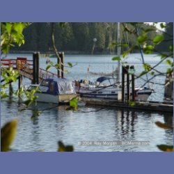 2003_2921_Hot_Springs_Cove.html
