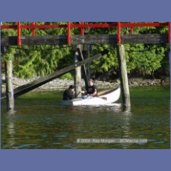 2003_2926_Hot_Springs_Cove.html