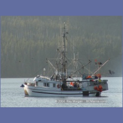 2003_2927_Hot_Springs_Cove.html