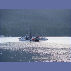2003_2931_Hot_Springs_Cove.html