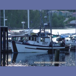 2003_2933_Hot_Springs_Cove.html