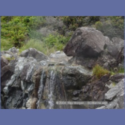 2003_2943_Hot_Springs_Cove.html