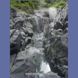 2003_2950_Hot_Springs_Cove.html