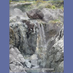 2003_2953_Hot_Springs_Cove.html