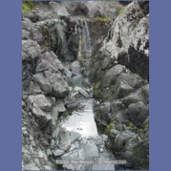 2003_2954_Hot_Springs_Cove.html