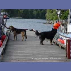 2003_2969_Hot_Springs_Cove.html