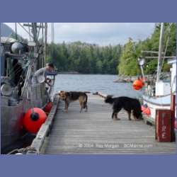 2003_2971_Hot_Springs_Cove.html