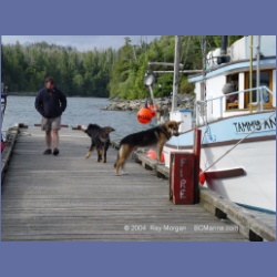 2003_2972_Hot_Springs_Cove.html