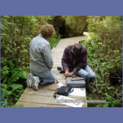 2003_2980_Hot_Springs_Cove.html
