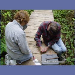 2003_2981_Hot_Springs_Cove.html