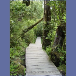 2003_2983_Hot_Springs_Cove.html
