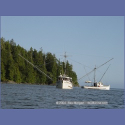 2003_2989_Hot_Springs_Cove.html