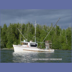2003_2990_Hot_Springs_Cove.html