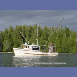 2003_2991_Hot_Springs_Cove.html