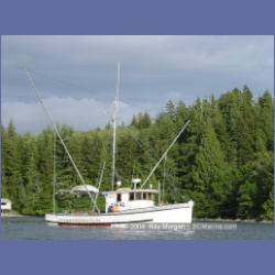 2003_2992_Hot_Springs_Cove.html